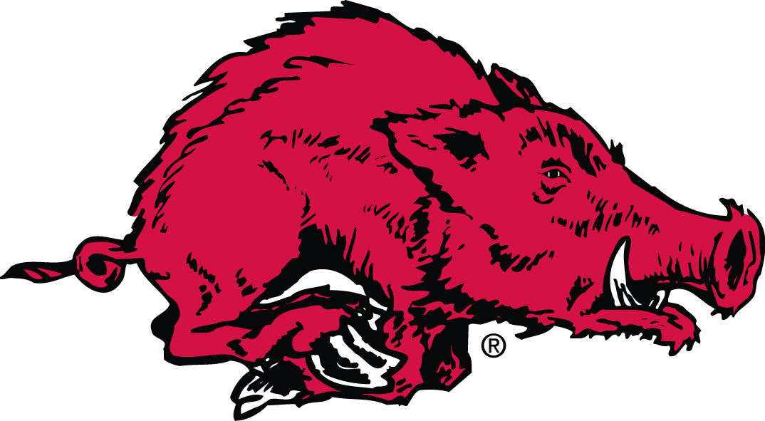 Arkansas Razorbacks 1963-1966 Primary Logo diy iron on heat transfer
